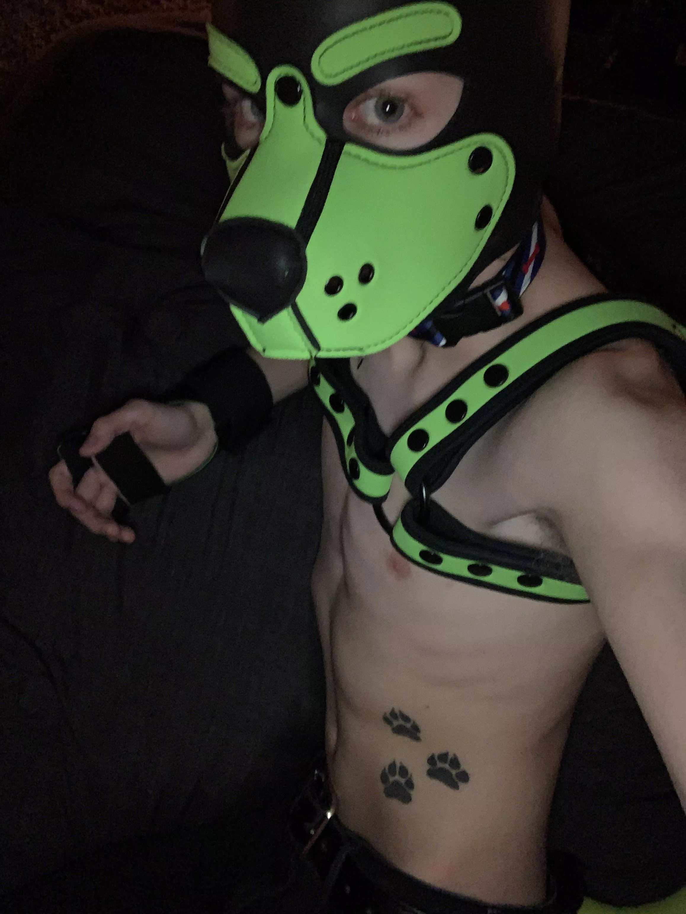 Trying to stay fit! 🐾