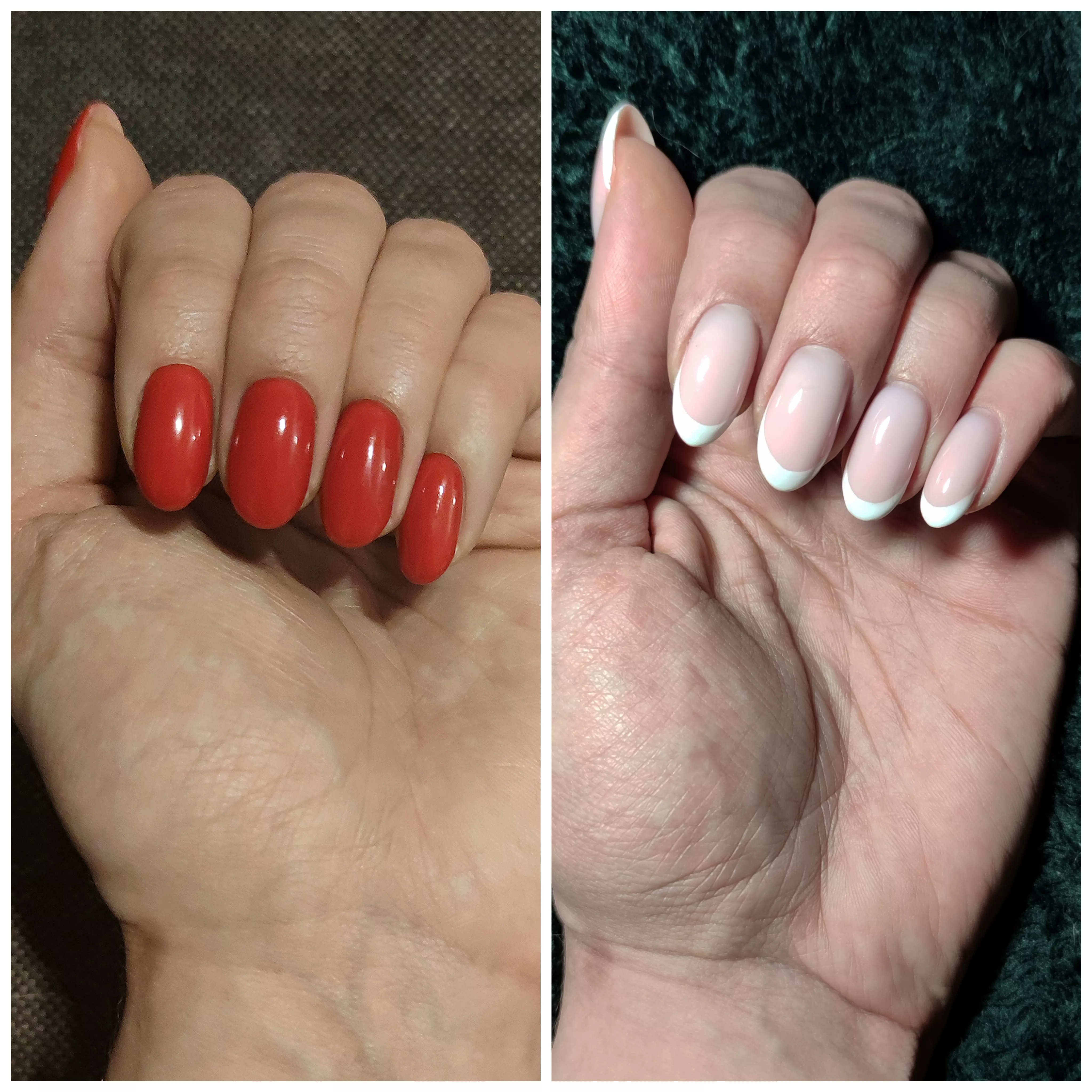 Two classics 😻 Are you team Red or team French? ❤️‍🔥