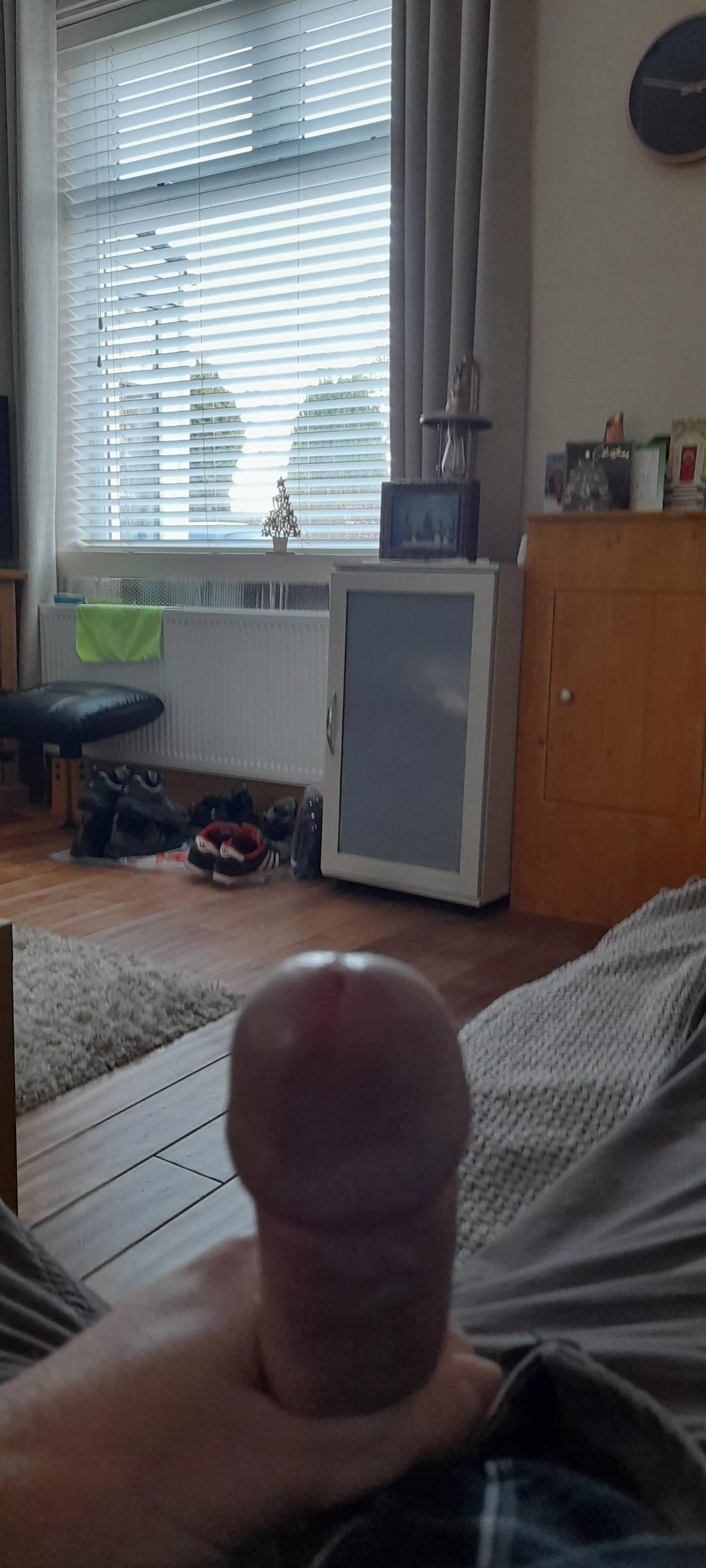 Waiting for my neighbour return from walking the dog. She always has a sneaky look in.