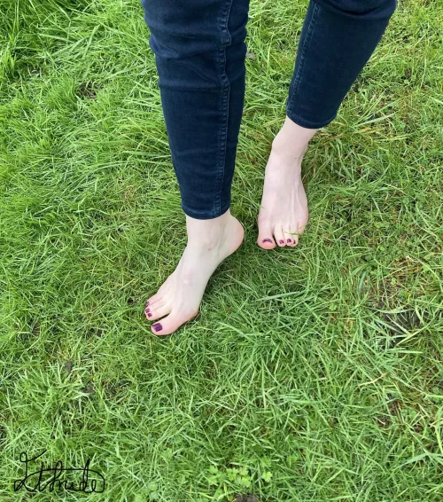 Walking off the excesses of New Year, feeling the wet grass on my feet