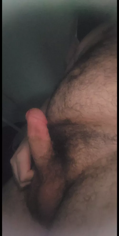 who wants to help this big bear?