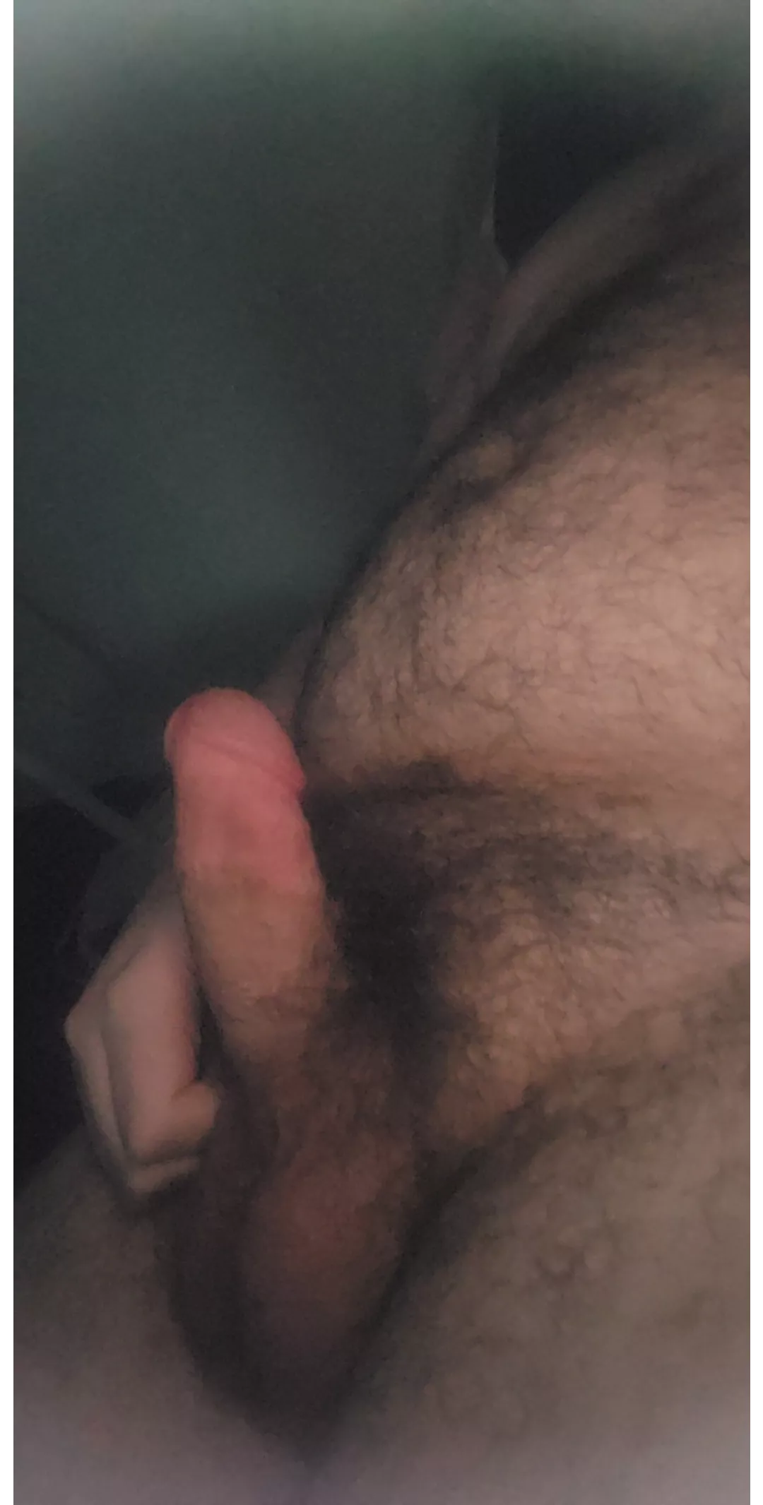 who wants to help this big bear?