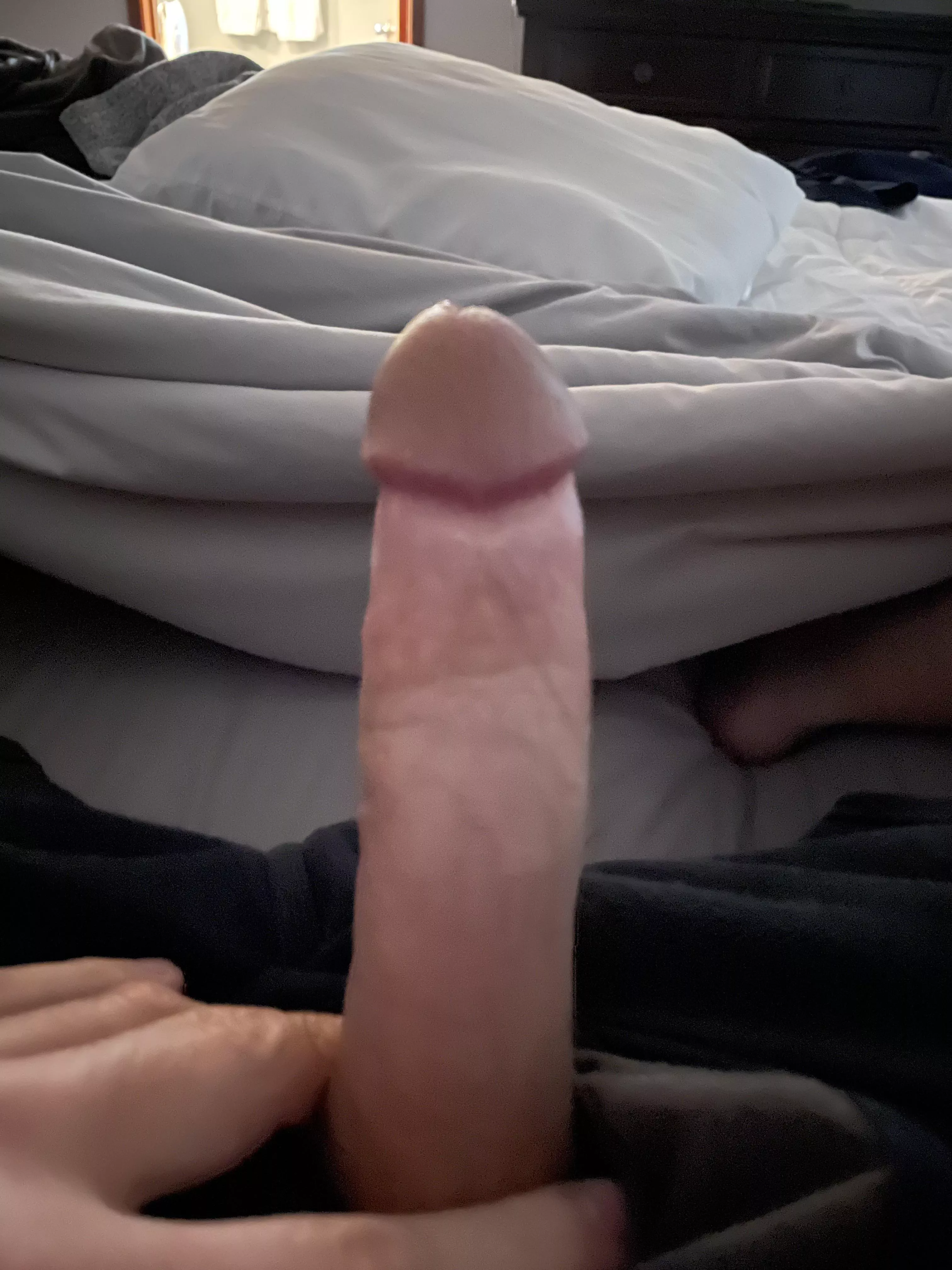 [40] some morning wood to start my day