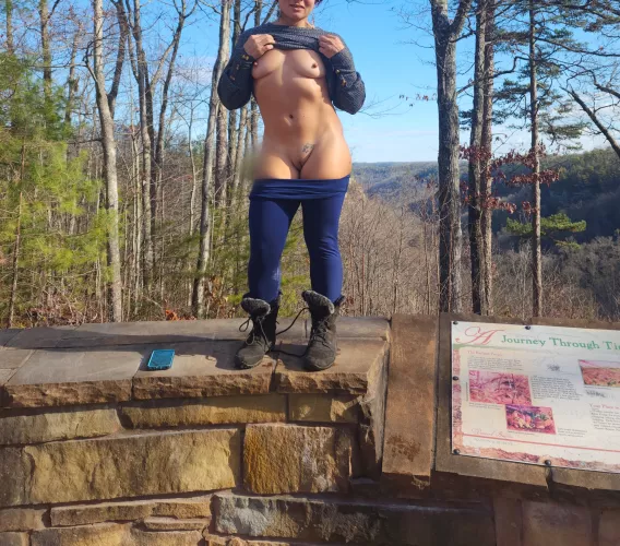 adding to the view [image]