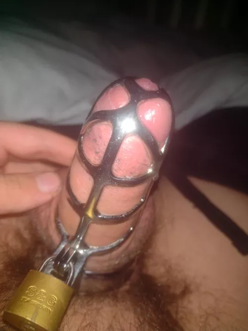 Anyone want to tease my locked clit? 🥰