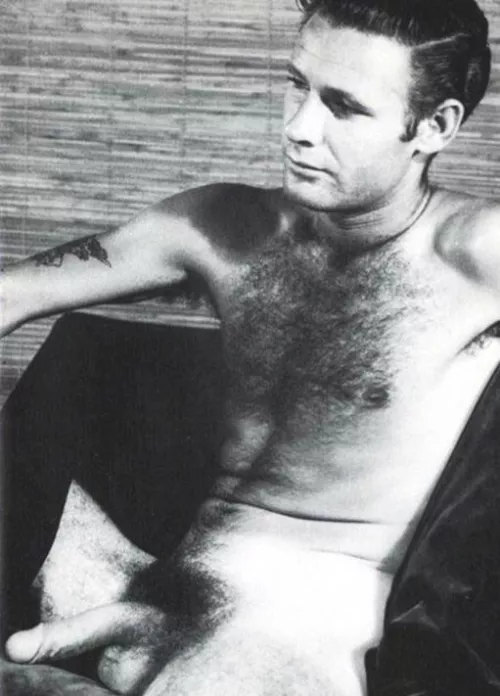 “Bush & hairy chest” …