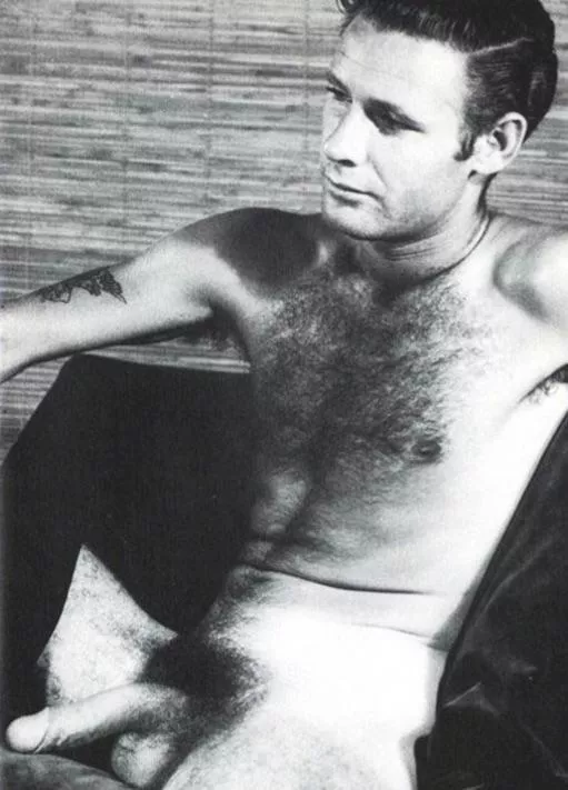 “Bush & hairy chest” …