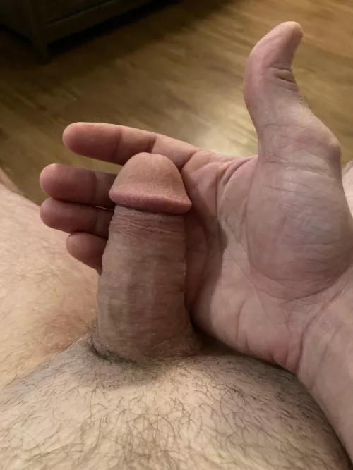 DM what you think