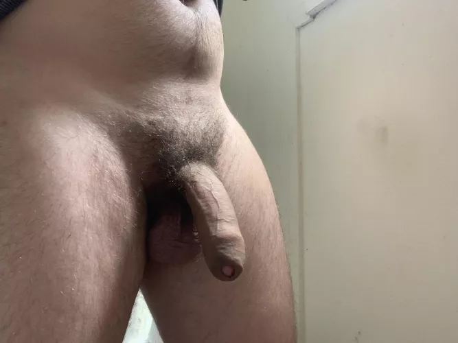 Do you like my Aussie cock?