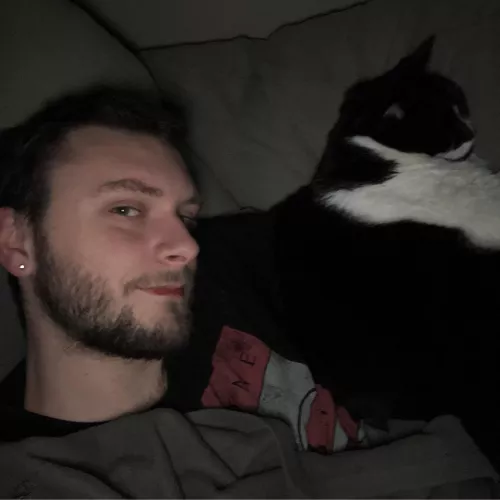 Finally watching knives out and the cat decided to join in