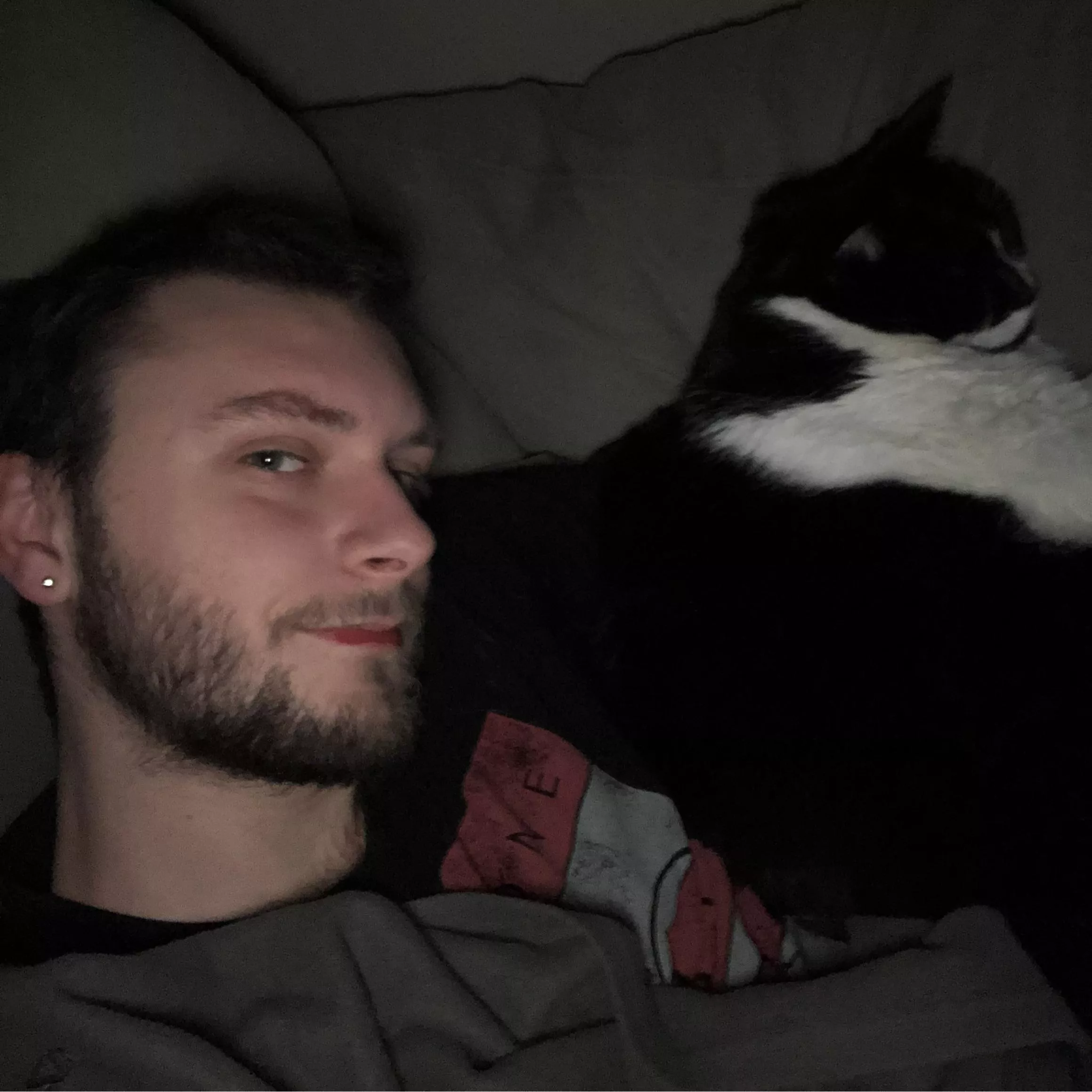 Finally watching knives out and the cat decided to join in