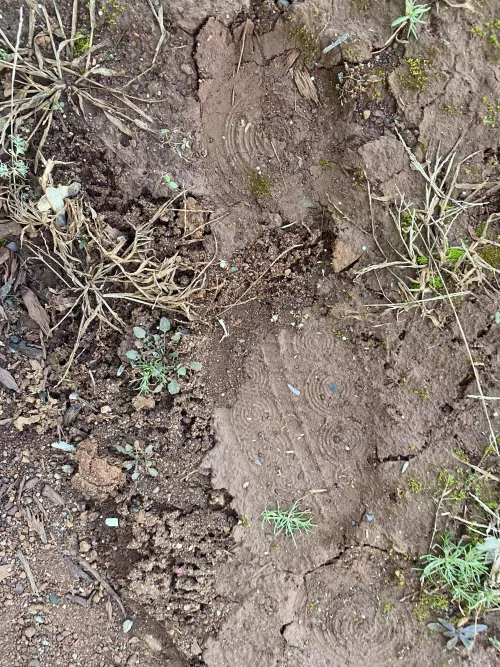 HELP IDENTIFY THIS SHOE