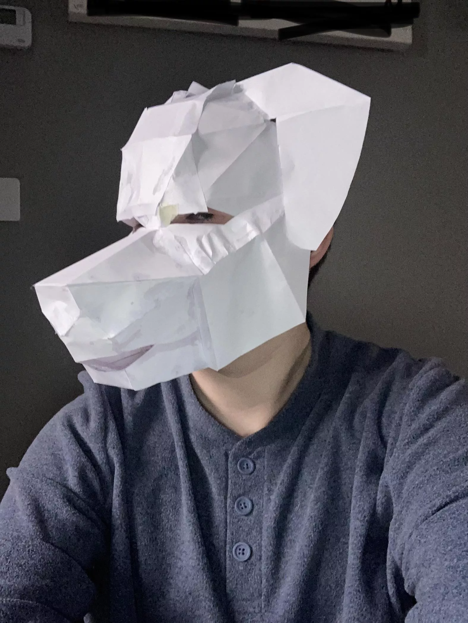 I got my first pup-hood!