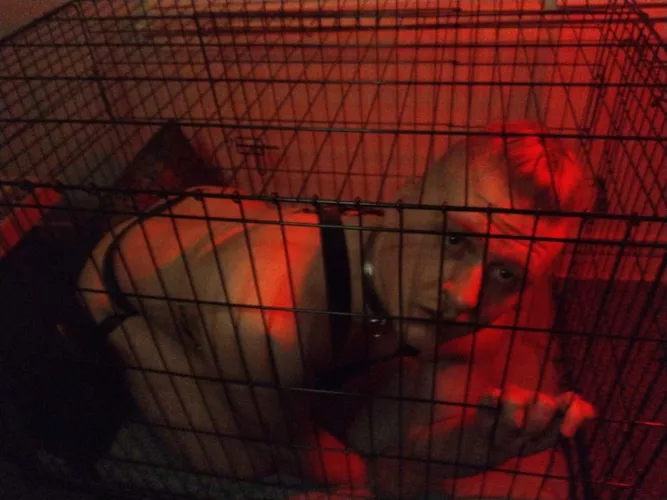 I promise I'll be a good boy if you let me out🥺👉👈