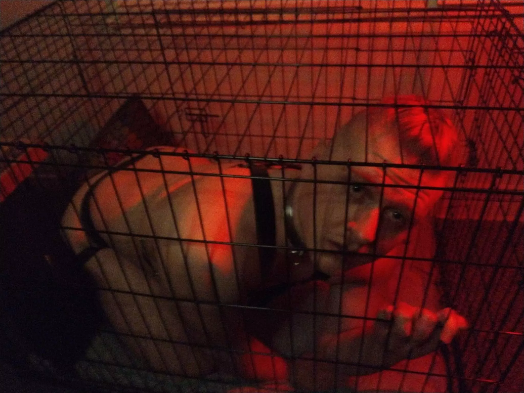 I promise I'll be a good boy if you let me out🥺👉👈