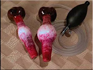 Inflatable dog 🐕 cock such kinky toy