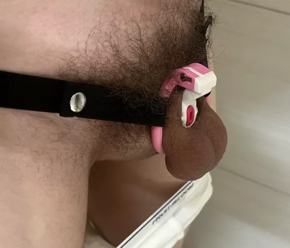 Innievader with innie cage