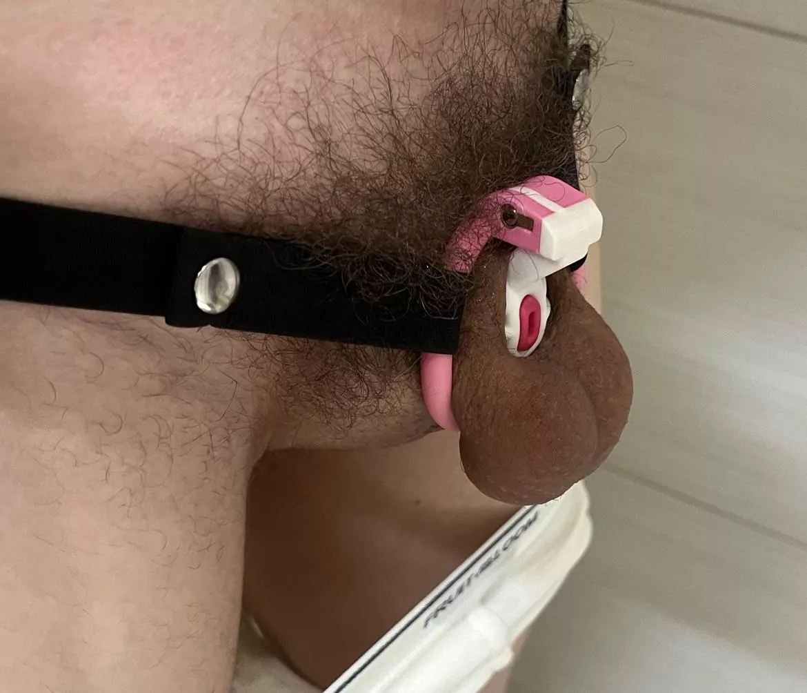 Innievader with innie cage