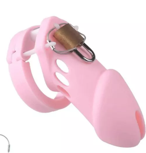 just bought my first cage any tips for a beginners