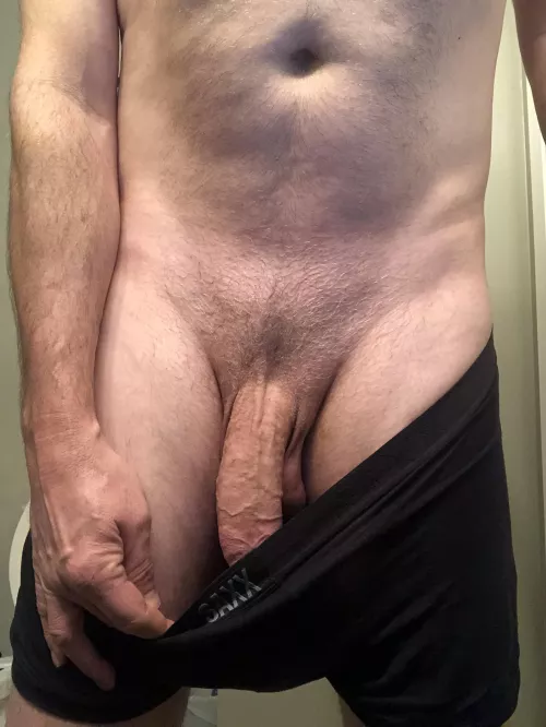[M]ajor veins.