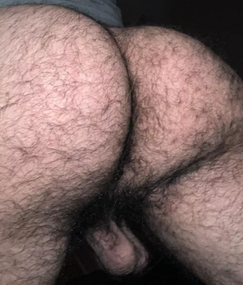 need a real man to take care of my ass