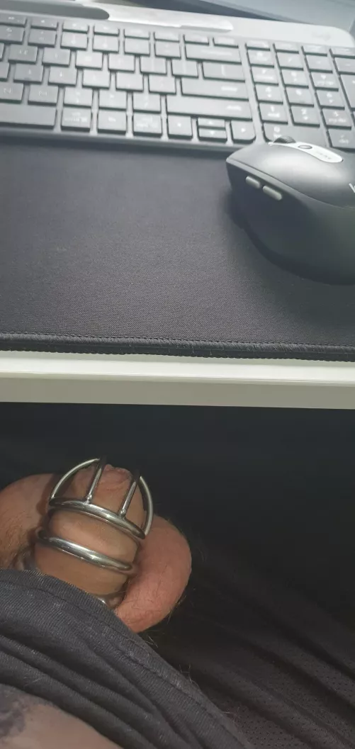 No one knows that while they're talking to me on the phone at work that I'm caged and horny 🤭