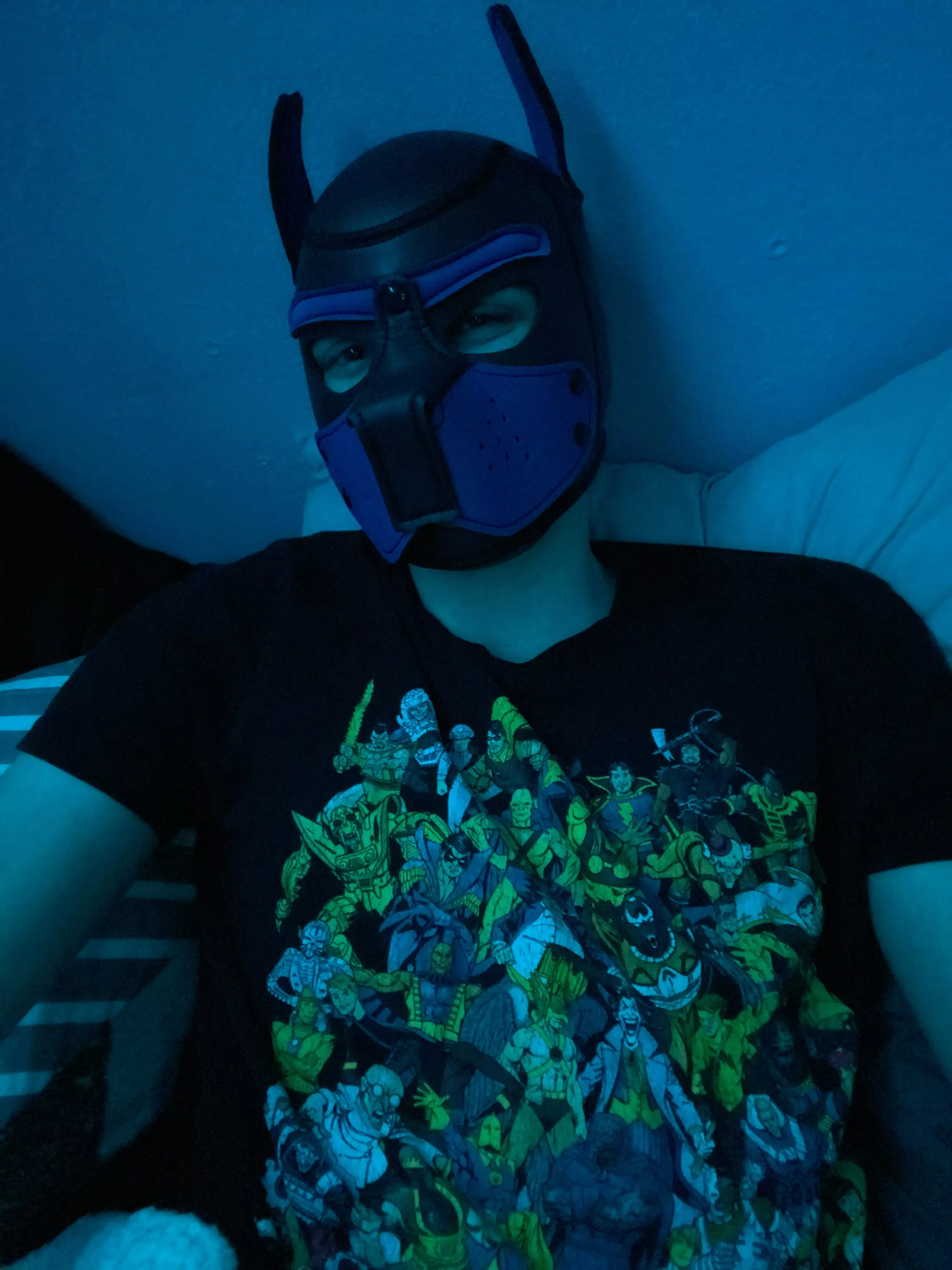 Puppy chilling in bed. Who’s your fav DC character? Bark🐶