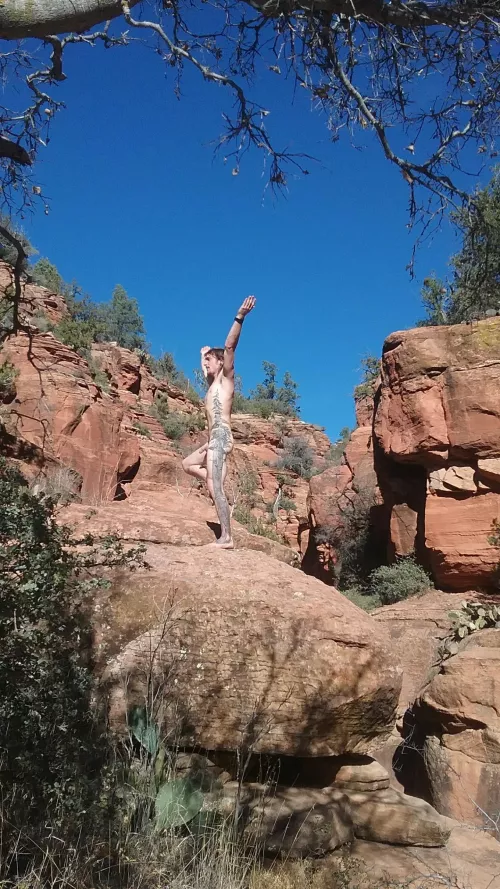 Redwood tree in the red rocks