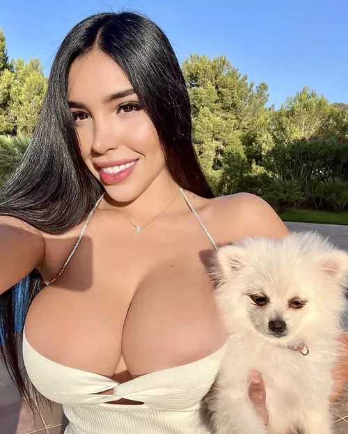 Such beautiful puppies & the dog is cute too!