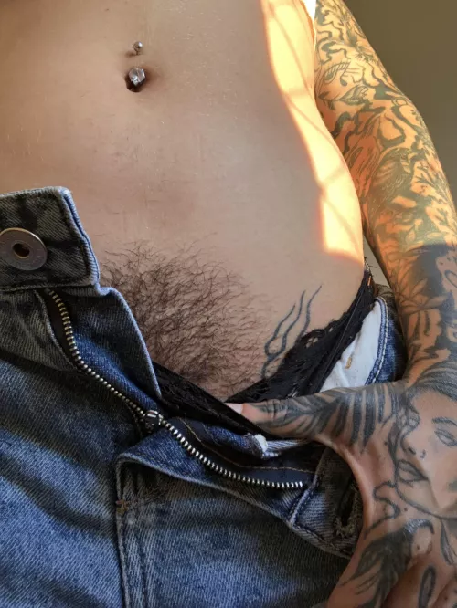 surprise a beautiful bush