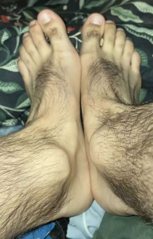 Tell me how much you like them