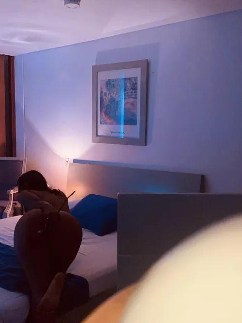 🌹The rose is one of the expressions of the art...