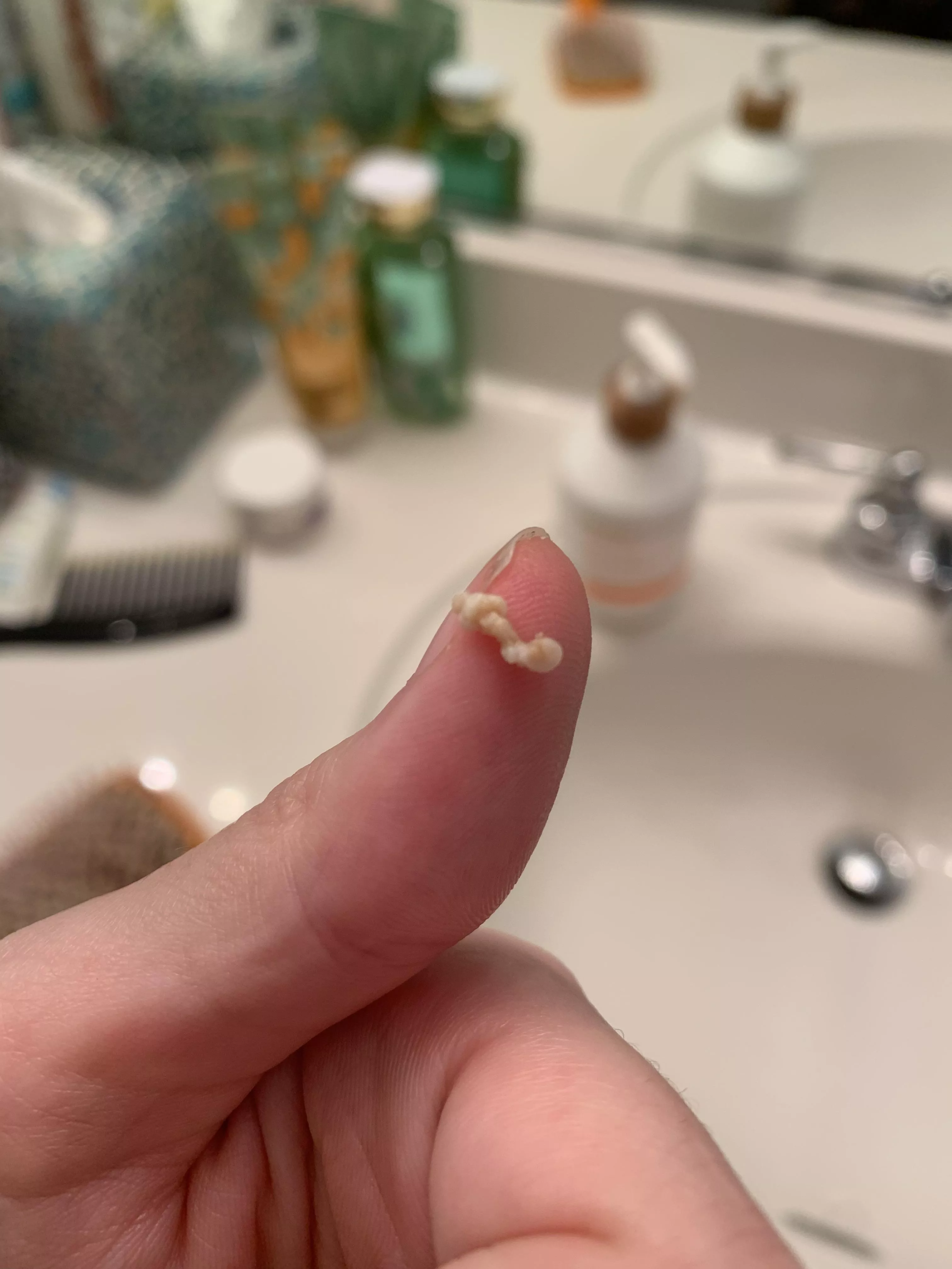 This just came out of my dog