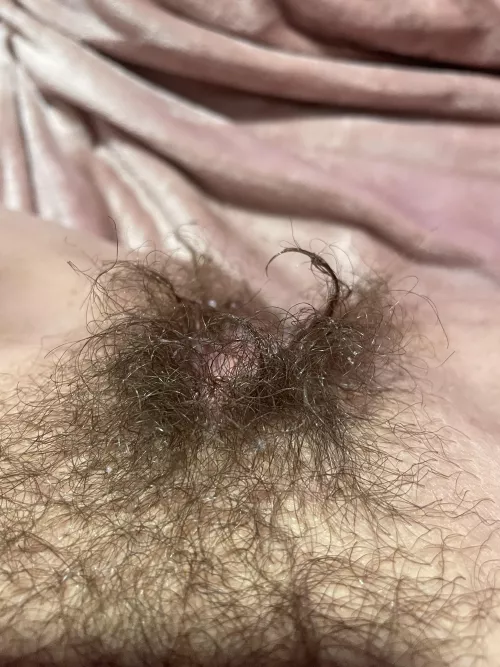 Who likes the taste of a bushy cunt?