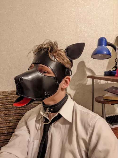 who wants to chat with this puppy? https://t.me/c/1890867430/6