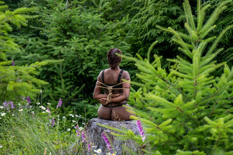 Wrapped under a Christmas tree 🌲