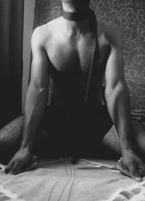 your friendly neighborhood good boy 😉