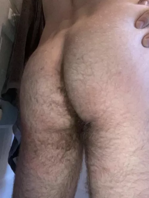 (29) Hairy otter looking to be submissive for a hairy bear top. Usually I’m the top but looking to explore that other side. DM’s open.