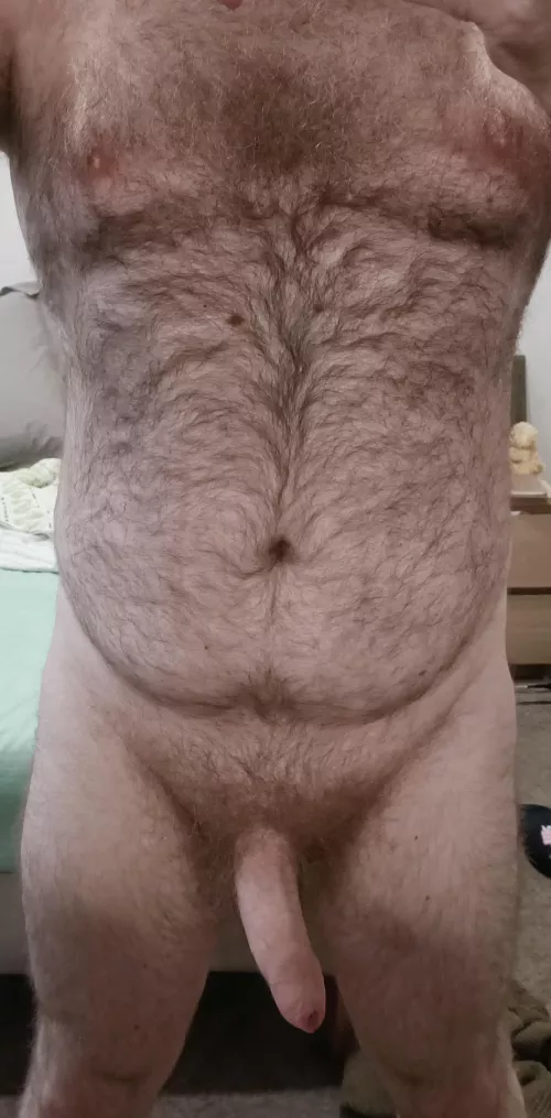 [37] Very hairy Aussie bear