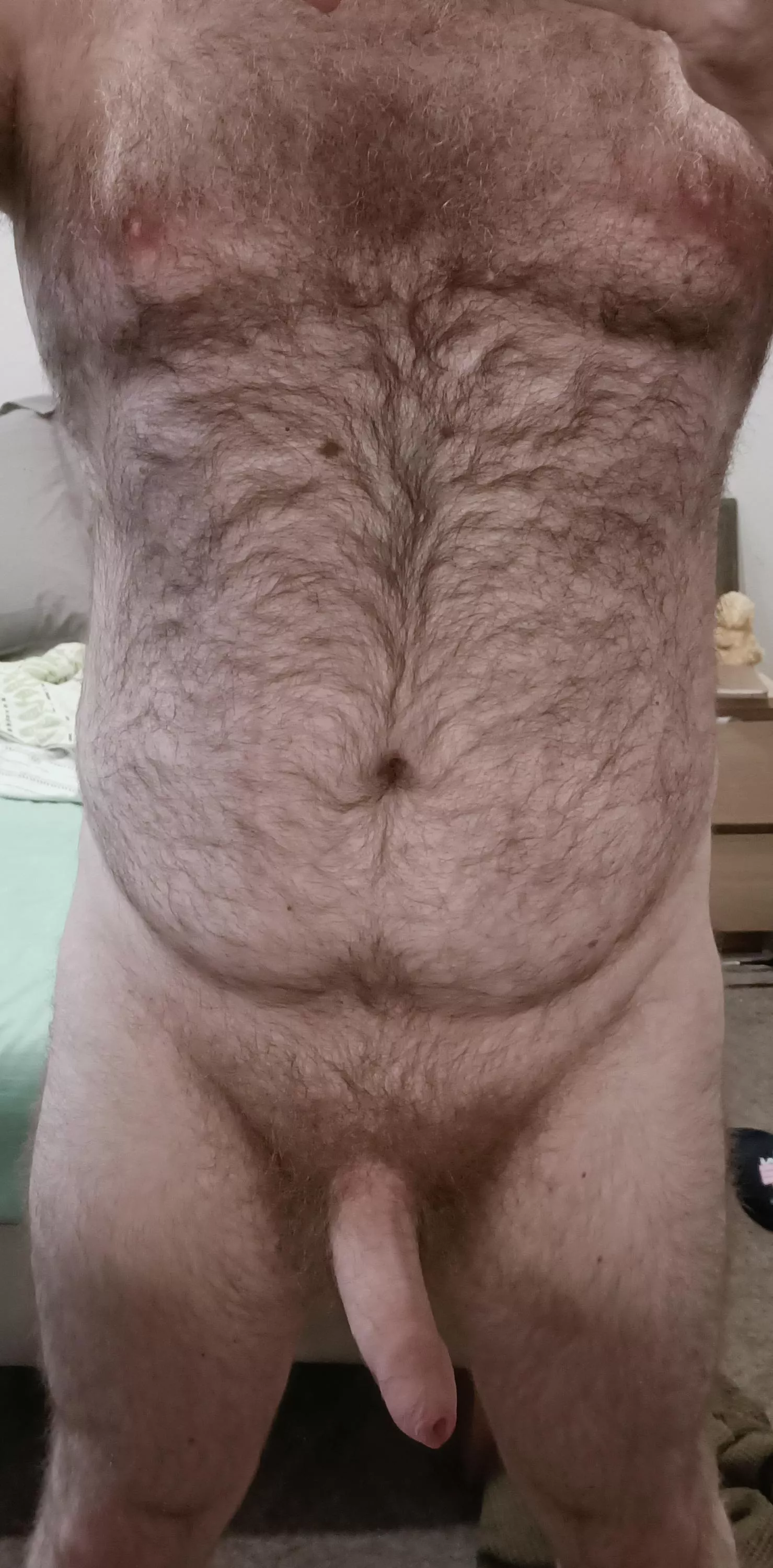 [37] Very hairy Aussie bear