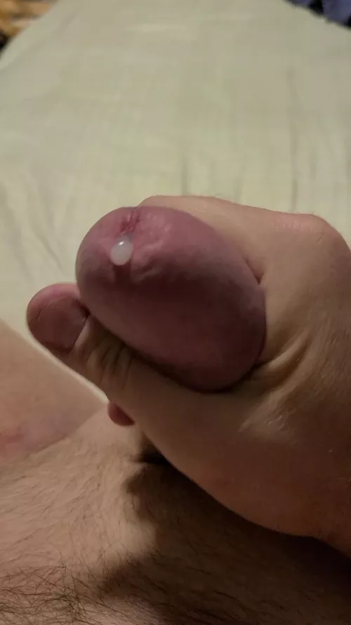 [43] Edging and a little precum...