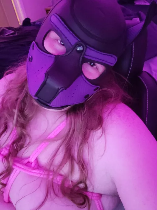 any SC pups on here?