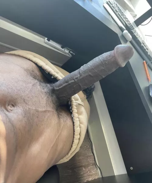 Biggest you will see