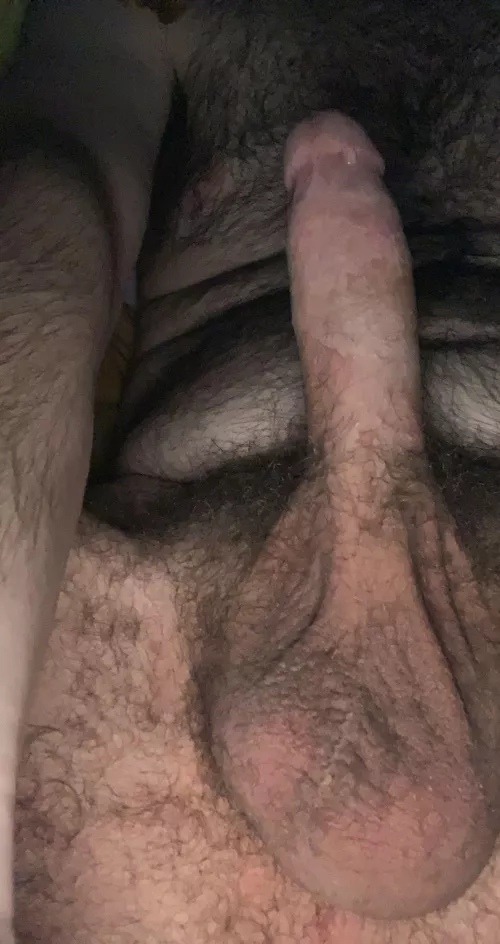 Cum give it a lick,,,