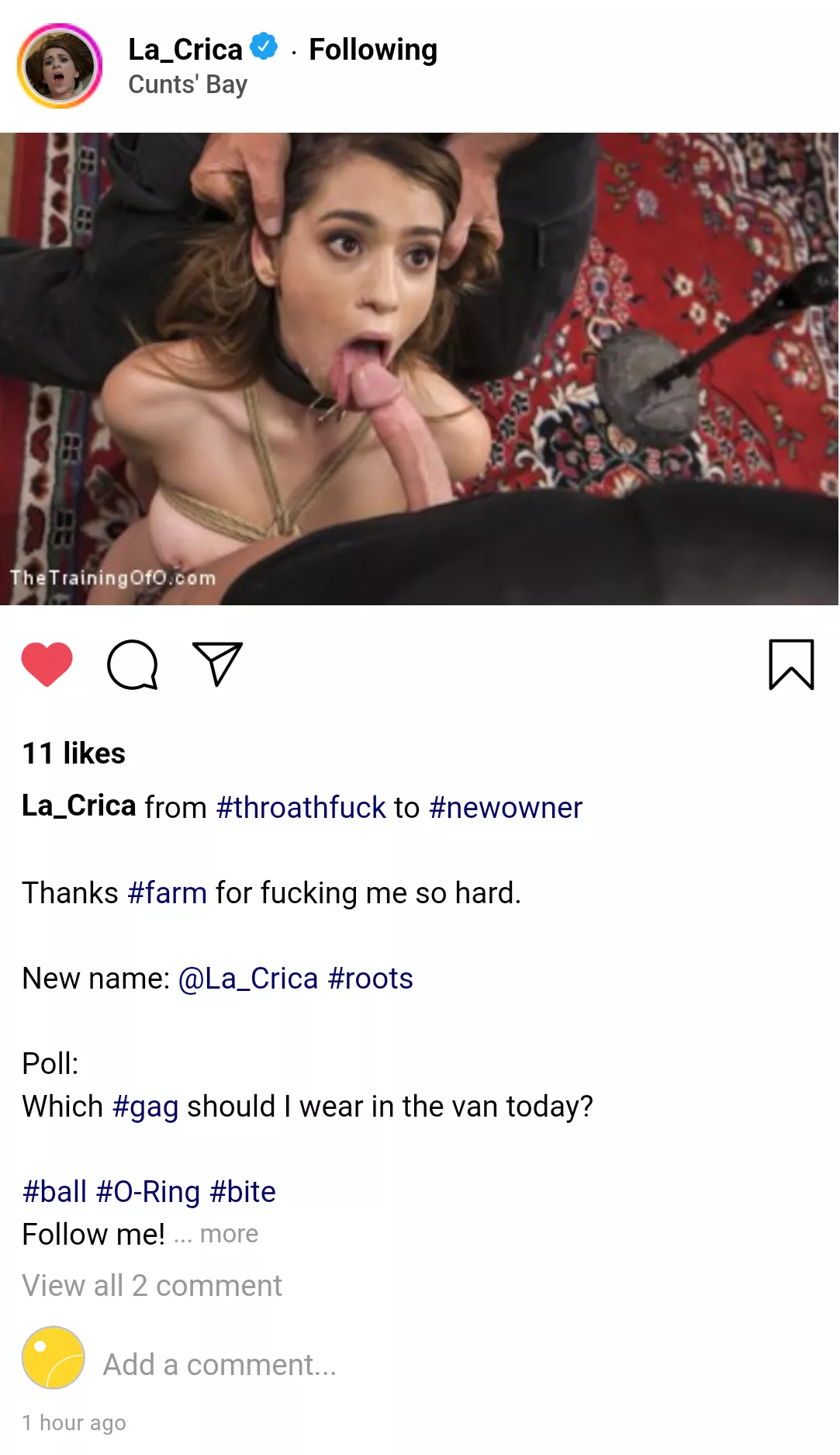 (cuntagram) - @la_crica - bought!