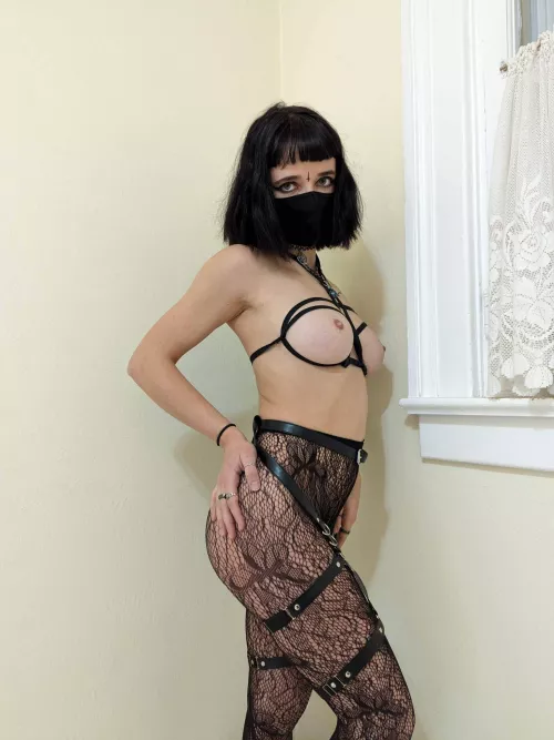Harness and fishnet makes me more breedable 🤍