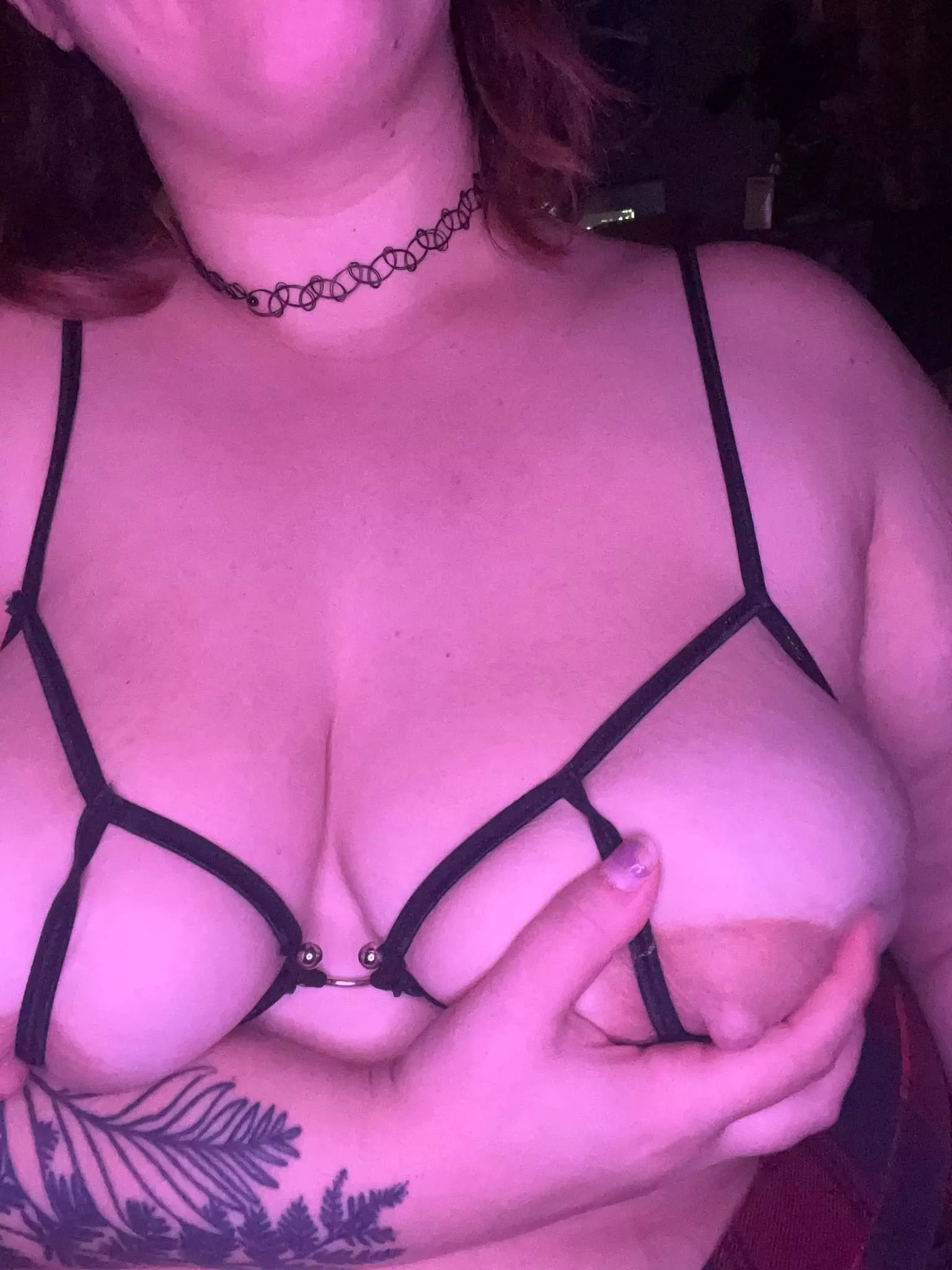 harnessed and ready for play