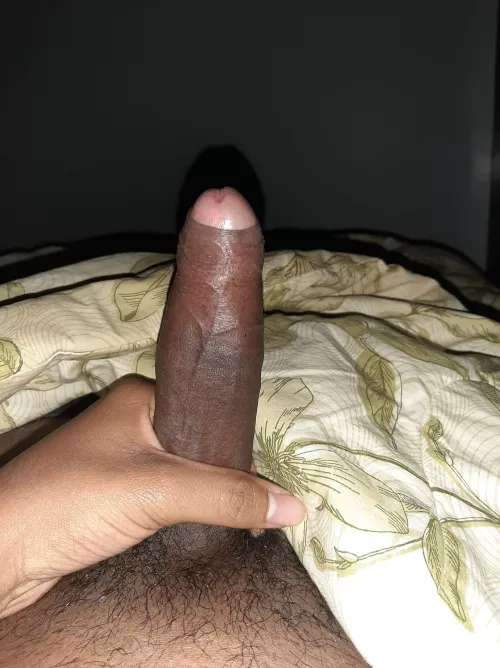 haven't cum in a while. want the load?