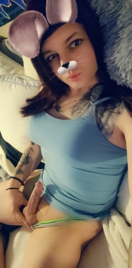 hmmmmm its not huge but is it at least cute?