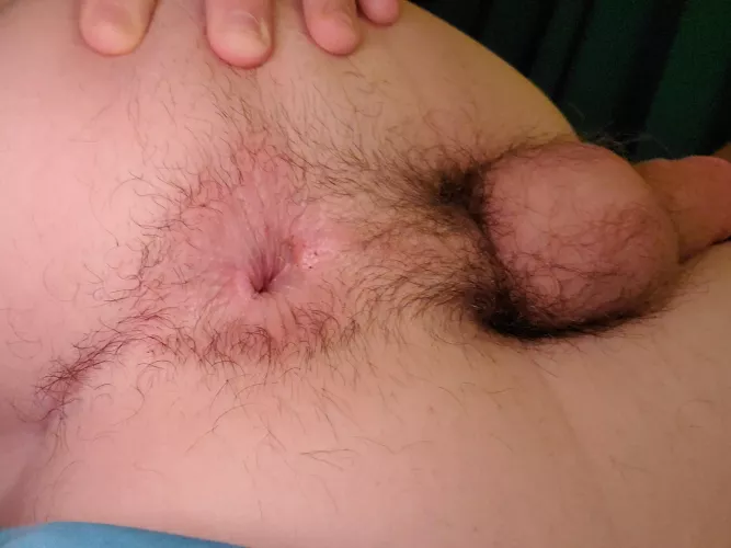 Hoping to get my tight hole railed this year! (DMs open)